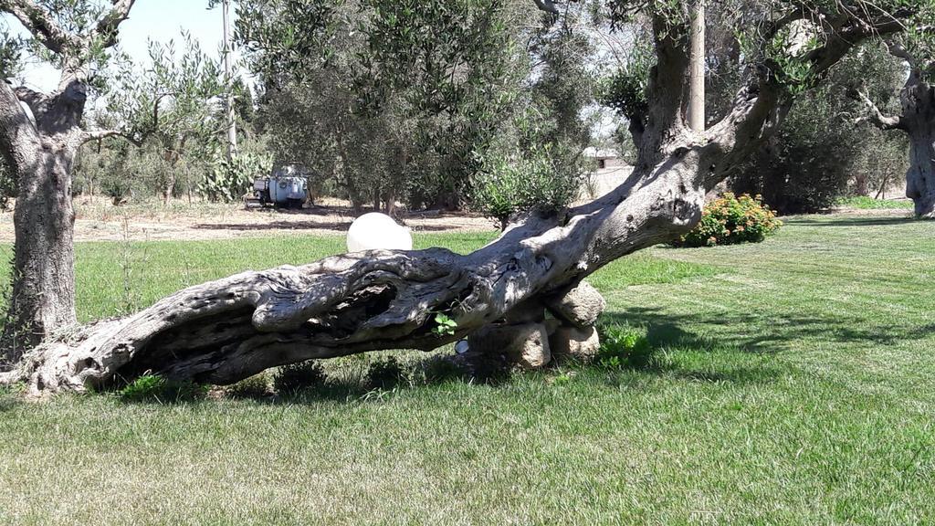 Tenuta Cavalieri Leverano Bagian luar foto