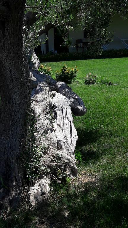 Tenuta Cavalieri Leverano Bagian luar foto